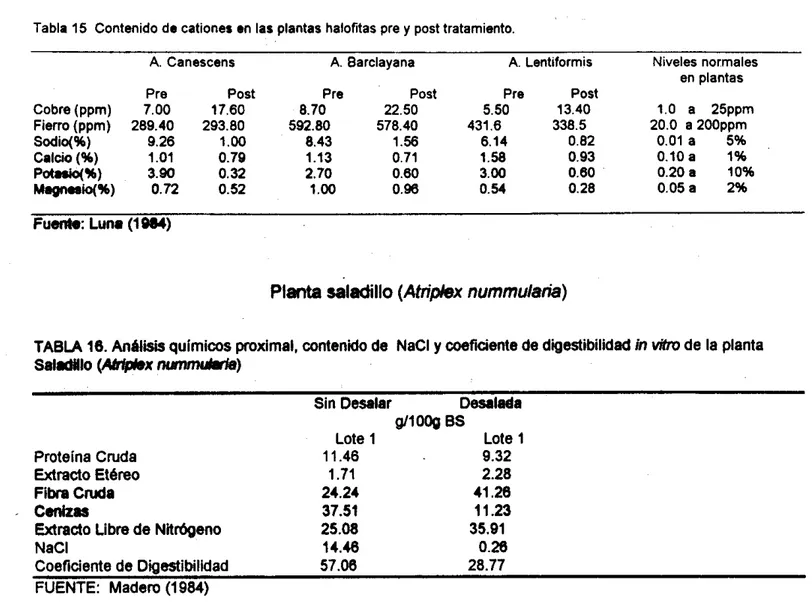 Tabla 15  Contenido de cationer  en  las plantas halofitas pre y  post tratamiento  A