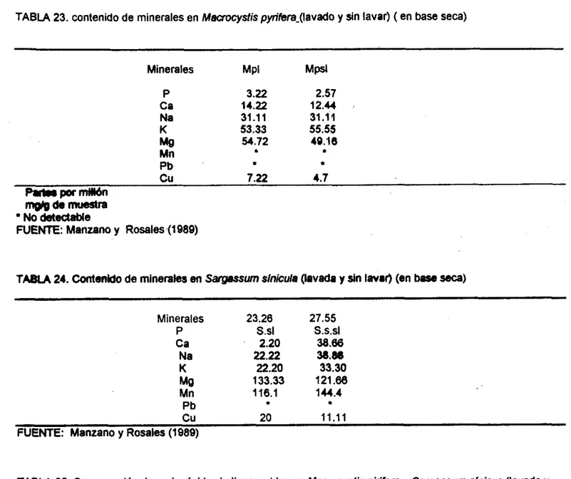 TABLA  23.  contenido de  minerales  en  Maaocysfis pynfere(lavado y  sin  lavar) ( en base seca)  Minerales  MPI  Mpsl  P  3.22  2.51  Ca  14.22  12.44  Na  31.11  31.11  K  53.33  55.55  Me  54.72  49.16  Mn  Pb  c u   7.22  4.1 