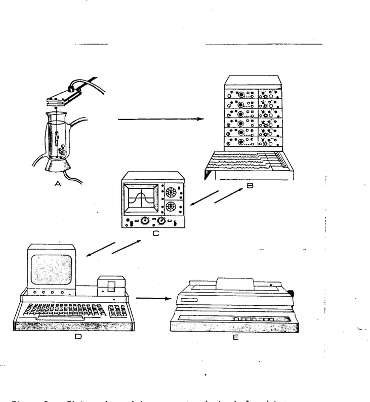 Figura 2.  Sistema  de  registro y procesamiento de los datos. 