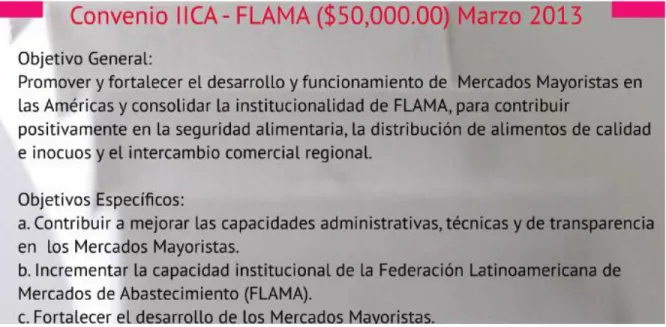 Figura 7. Objetivos del convenio IICA-FLAMA. Adaptado en Iica, 2013 
