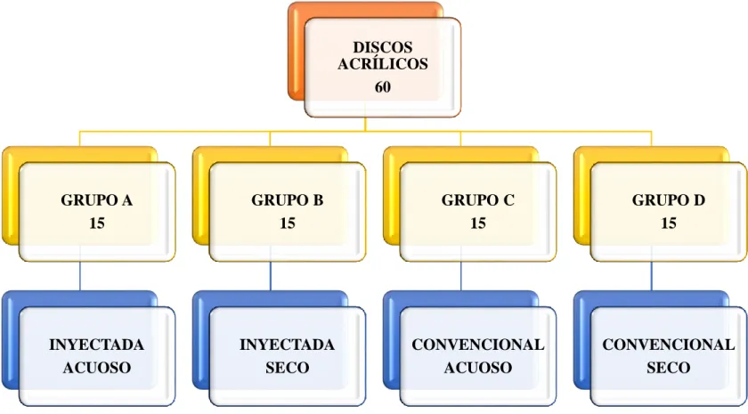 Figura 1. Tamaño de la muestra.  DISCOS  ACRÍLICOS 60GRUPO A15INYECTADAACUOSOGRUPO B15INYECTADASECO GRUPO C15 CONVENCIONALACUOSO GRUPO D15 CONVENCIONALSECO