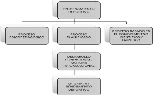 Figura 1. Indicadores que definen el proceso de entrenamiento deportivo.   