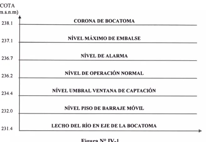 Figura N º  IV-1 