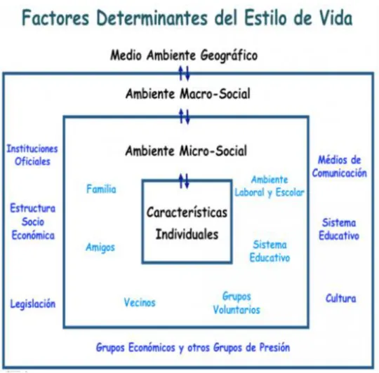 Figura 1.  Factores determinantes del Estilo de Vida 