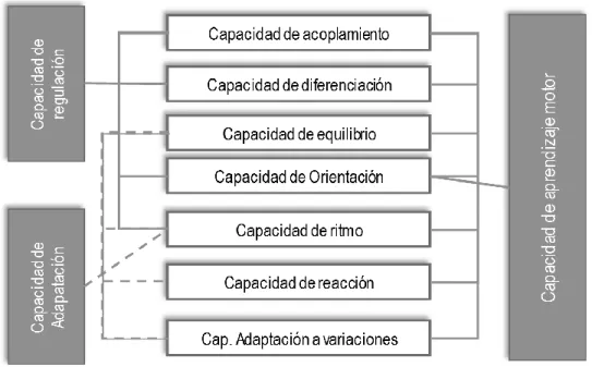 Figura  9:  Capacidades Coordinativas según Meinel (1987). 