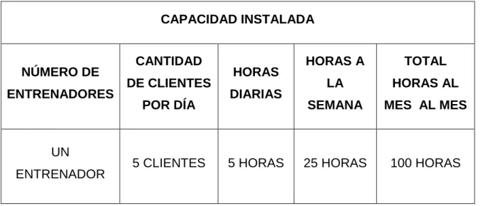 Cuadro 3: capacidad instalada.  