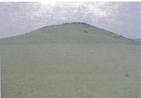 Fig.  1: Vista frontal del terreno 