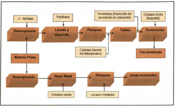 Fig.  12 Diagrama de procesos húmedos que utilizan enzimas 