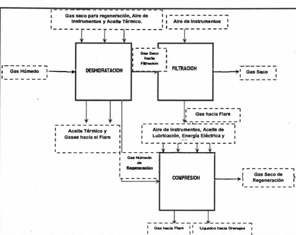 Gráfico 2.17 -Diagrama Funcional de Bloque del Sistema de Deshidratación. 