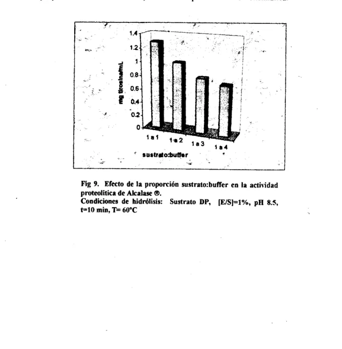 Fig 9.  Efecto de la proporción  sustrato:buffer en  la acthidad  proteolitica de Akalase  @