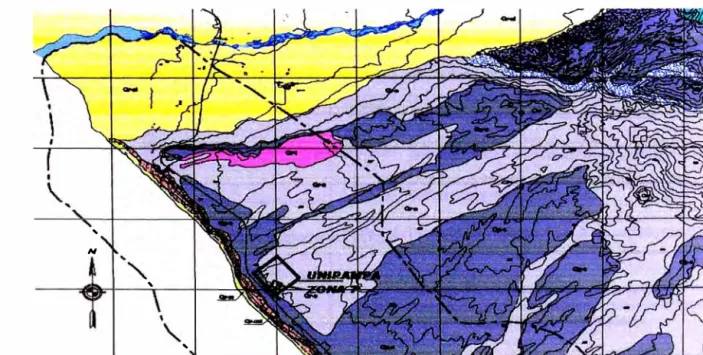 Figura 1.4:  Mapa geológico del IGN  Chincha  (27-k),  solo la zona de  estudio  '  N  '  '  a) Geología  regional