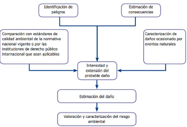 Figura 1.Metodología de la Evaluación de Riesgo Ambiental