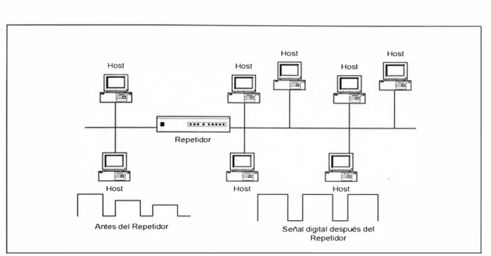 Fig.  1-3 Repetidores en una Red de Área Local  (LAN). 