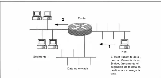 Fig.  1-5  Un Router segmentando una Red de Área Local  (LAN). 