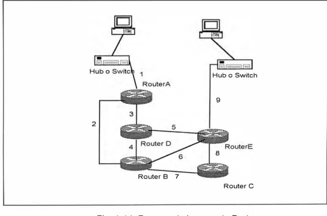 Fig.  1-14  Proceso de la capa de Red. 