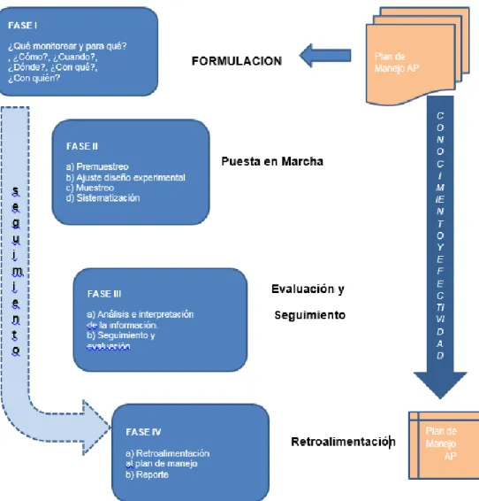 Figura 1. Fases para el diseño del programa de monitoreo en el área protegida 