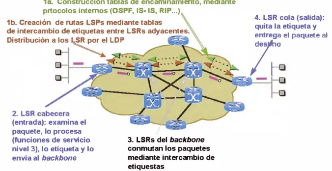 Figura 9. Funcionamiento de una red MPLS 