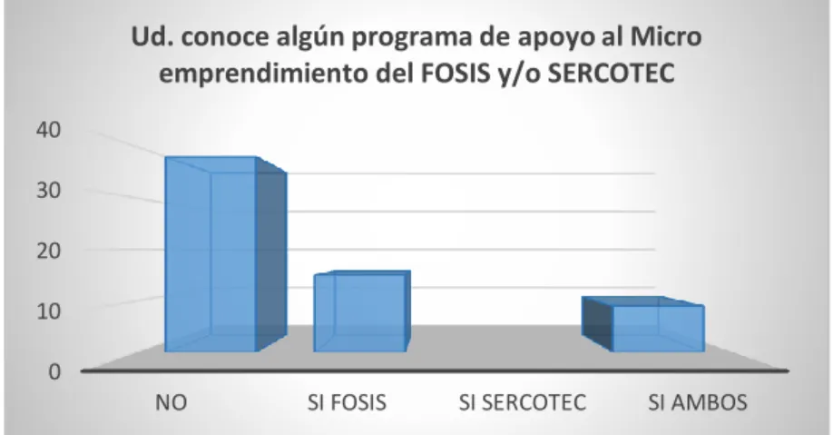 Figura N°12; Elaboración Propia. 