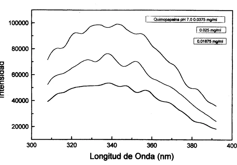 Fig.  3.1  Gráfica con  las curvas de los datos obtenidos variando la concentración de la  quimopapaína, a  pH  7.0