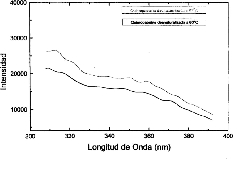 Fig.  3.4  Gráfica  representativa  de  los  datos  obtenidos  de  la  cinética  seguida  por  fluorescencia:  A  temperaturas de  57  y  60  &#34;C; respectivamente