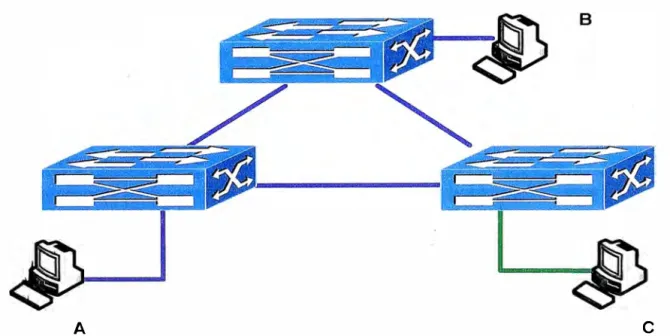 Fig. 2.6: Esquema de Spanning Tree. 