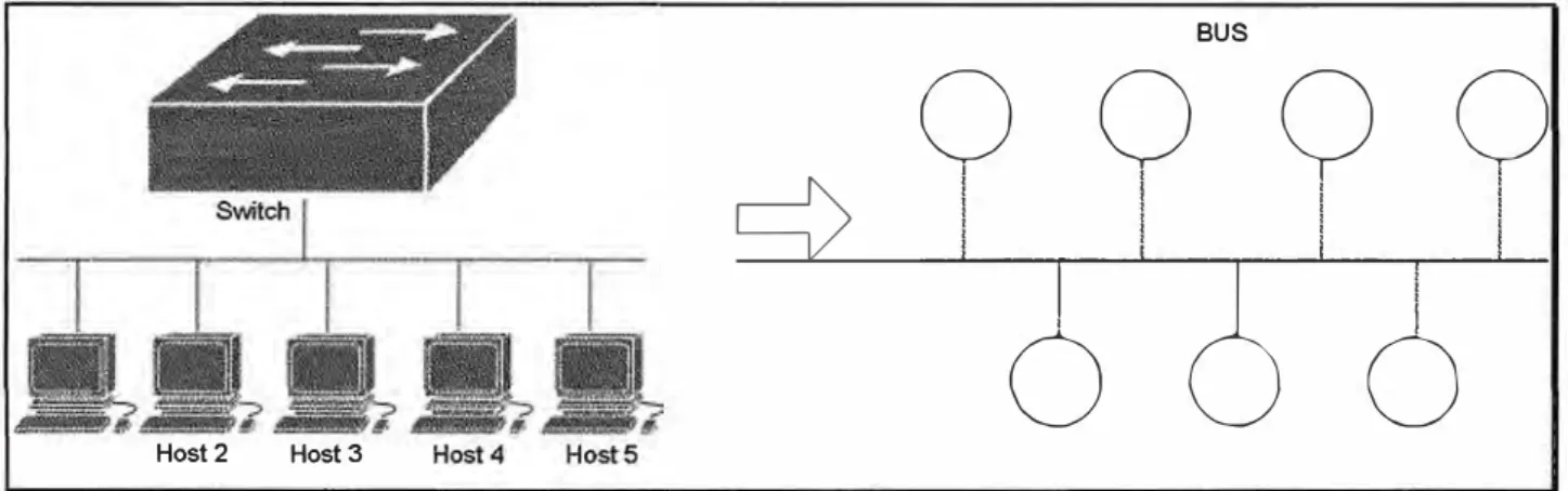 Figura 1.2. Topología de red  de una sede del cliente. 