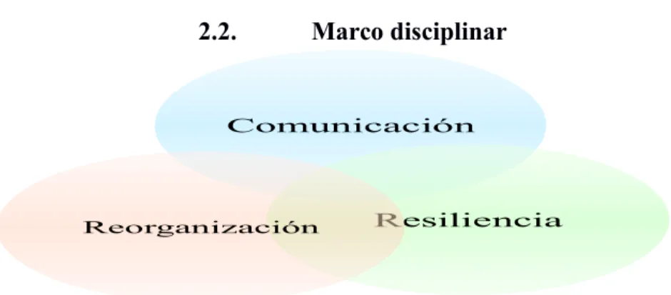 Figura 2. Marco disciplinar