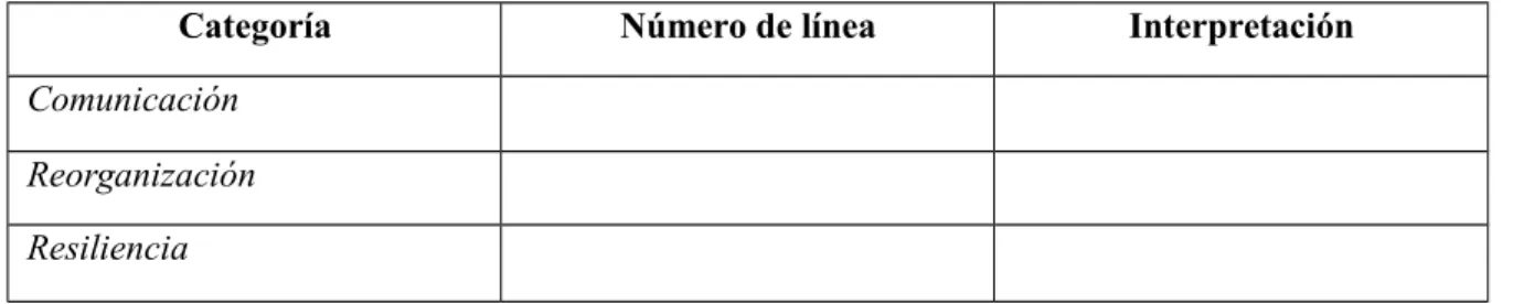 Tabla 4. Esquema de matriz de análisis de categorías