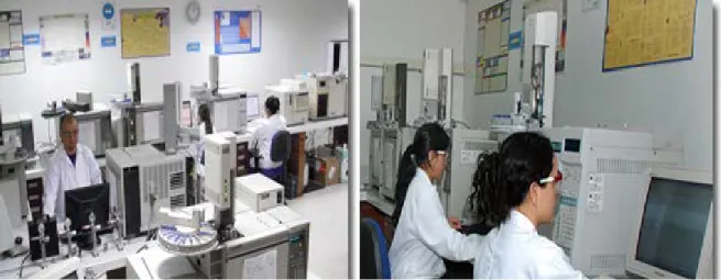 Ilustración 4. Laboratorio – Área de Cromatografía 