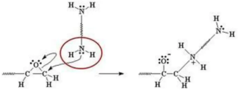 Figura 2. Ataque del nucleófilo 