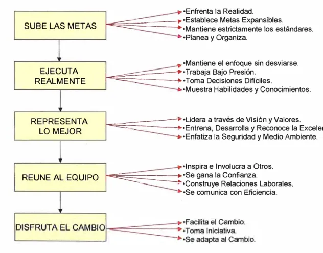 Figura N° 9:  Funciones de un Líder 