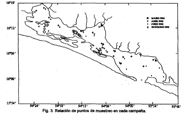 Fig.  3.  Relacifwi  de puntos de  mwtreo en  cada  campana. 