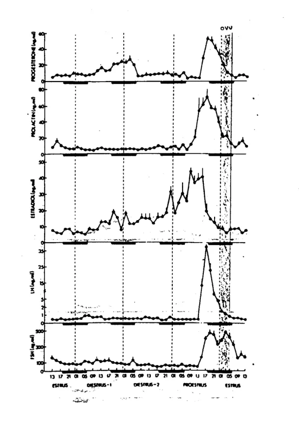 Fig.  2.  Arriba  se  muestran las concentraciones de  progesterona,  prolactina. estradiol