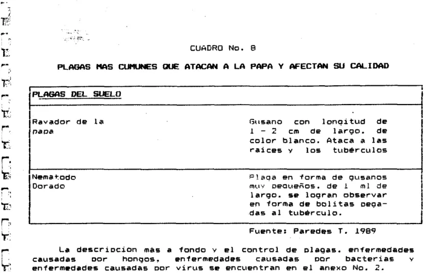 CUADRO  No.  8 