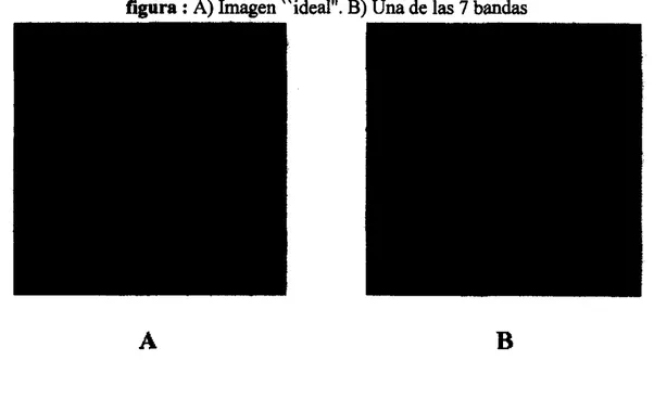 figura :  A)  Imagen &#34;ideal&#34;.  B) Una  de las  7  bandas 