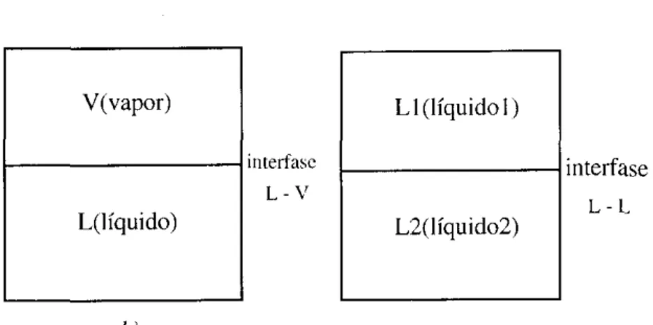 Figura  I .   Se  ilustran  los dos tipo  dc  interlase  mas  estudiados  ;i)líquido  -  vapor  (L ~  V),  h)liquido  -  líquido  (L -  L) 