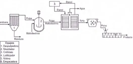 Figura 5.2  Ejemplo del proceso de Liofilización de la pulpa de la guanábana. 