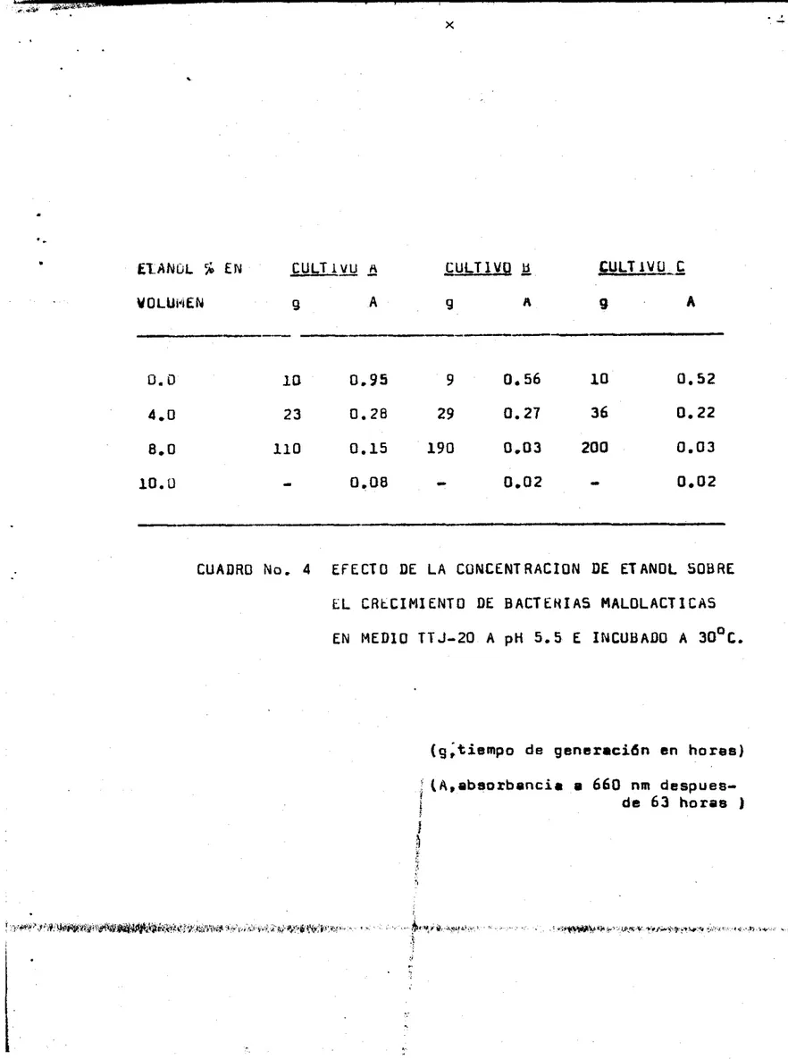 CUADRO  No.  4  EFECTO  DE  LA  CONCENTRACION  DE  ETANOL  SOBRE  L L   CRtCIMIENTO  DE  BACTEHIAS  MALOLACTICAS  EN  MEDIO  T T J - 2 0   A  pH  5.5  E  INCUBADO  A  3OoC