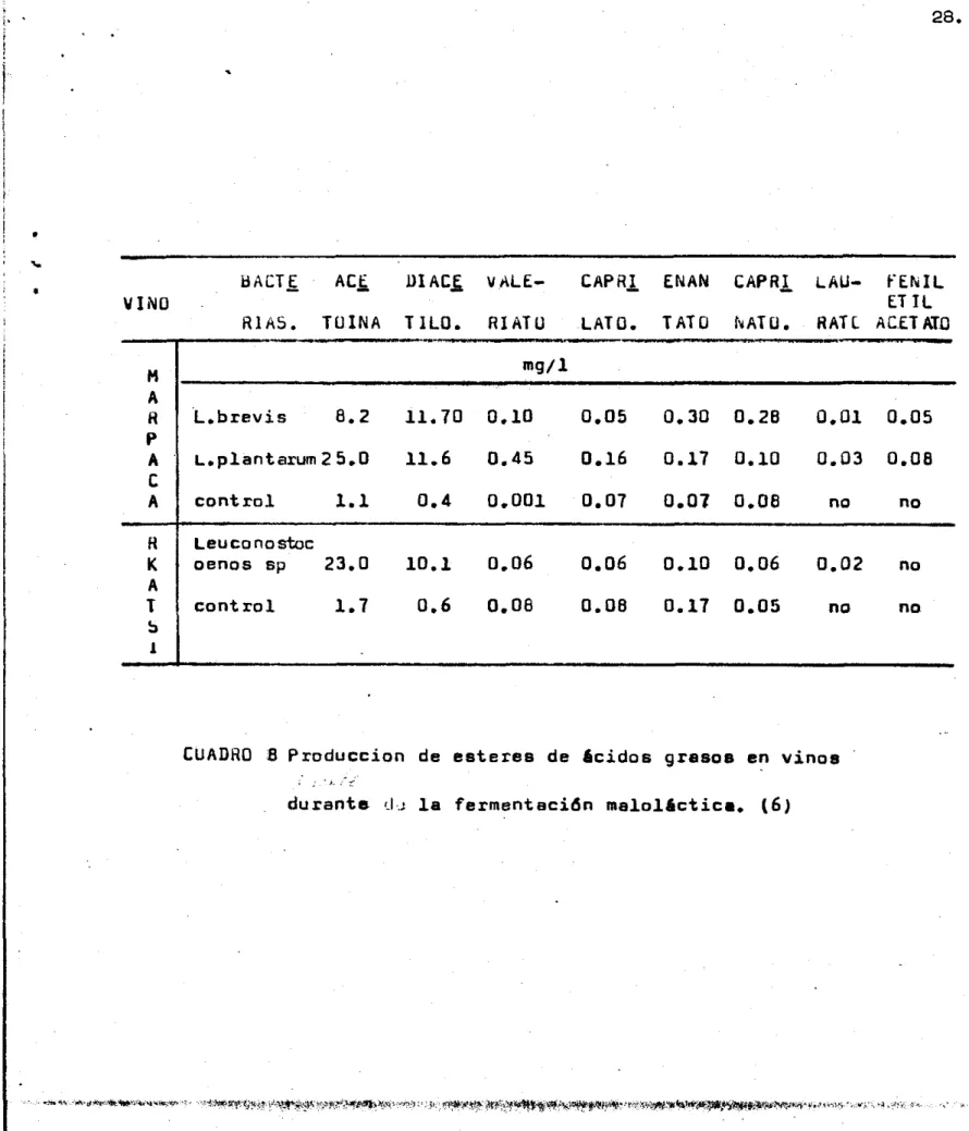 CUADRO  E  Pruduccion  de  esteras  d e   á c i d o s   gresos  en  v i n o s  