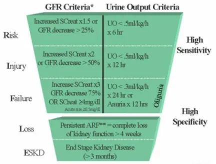 Figura 1. RIFLE classification for acute renal failure   