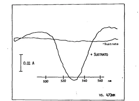 Figura  13.  Medicion  dc  P o t e n c i a l   El+CtriEO  Transmenbranat  con  Safranin.