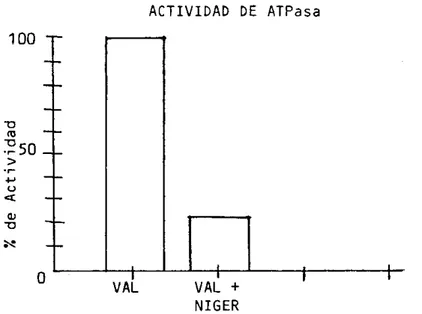 Figura  15.  Efecto de  los  ionoforos  sobre.el  porcentaje  de  Actividad  de  ATPása