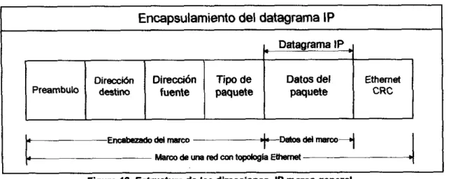 Figura 16.  Estructura  de  las  diredome8  IP  marco  Bemrpl 