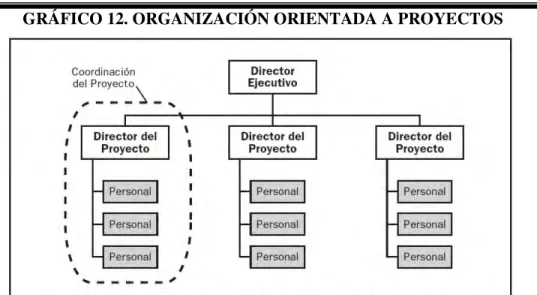 GRÁFICO 12. ORGANIZACIÓN ORIENTADA A PROYECTOS 