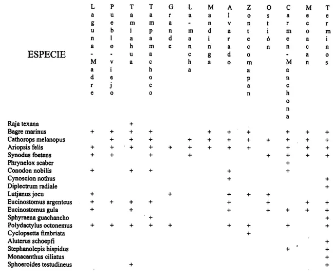Tabla  2.Lista  de  especies  presentes  en  la  campaña  oceanográfica  reportadas por  R-M  y K, (1991)