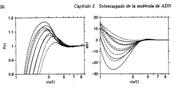 Figura  2.5:  (a)Función de  distribución  de  carga  P ( r )   y  (b)  potencial electrostático  promedio 