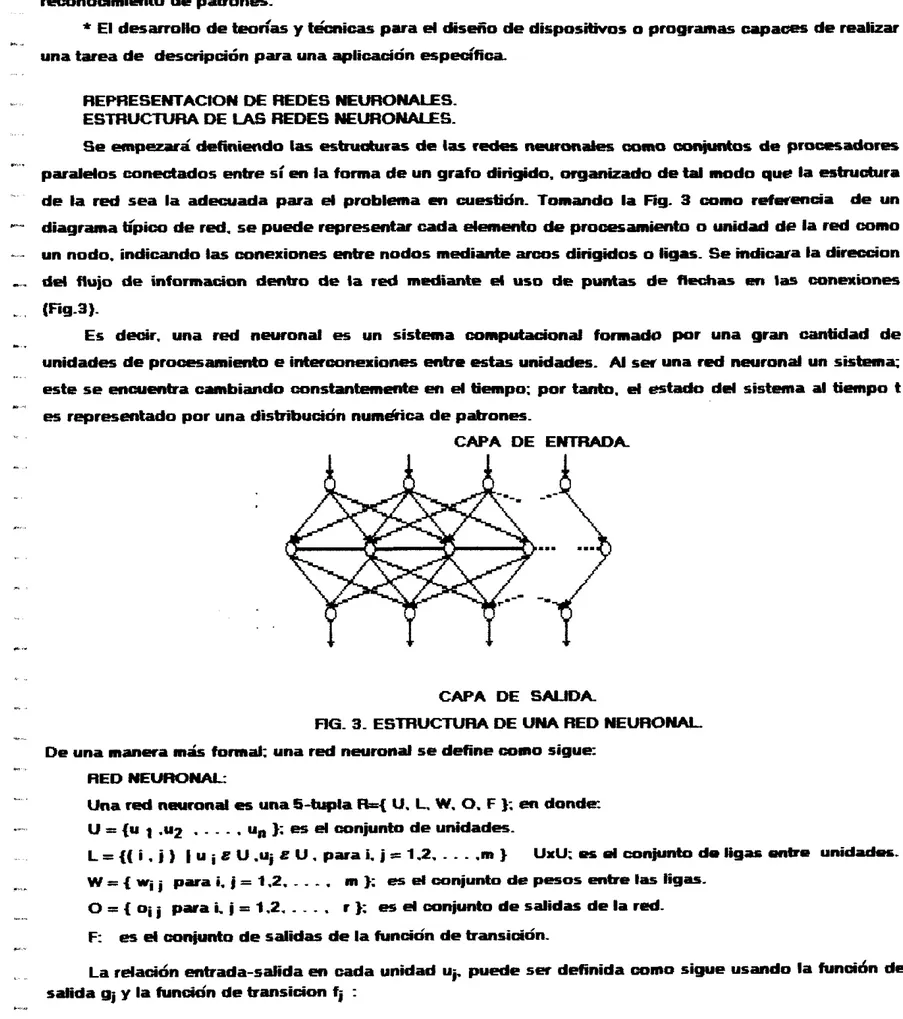 FiG. 3. ESTRUCTURA DE  UNA RED NEURONAL 