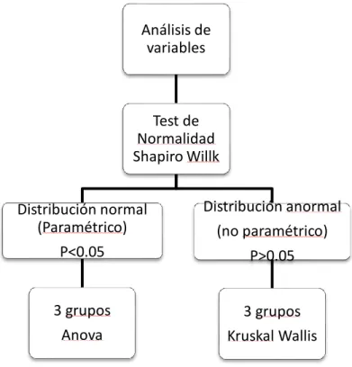 Figura 7. Algoritmo de análisis de variables 