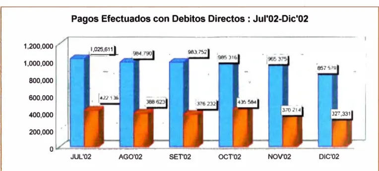 Gráfico N º  9 