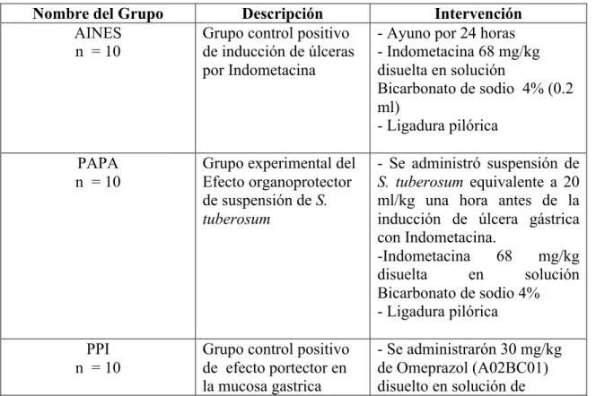 Cuadro 6. Grupos Experimentales 